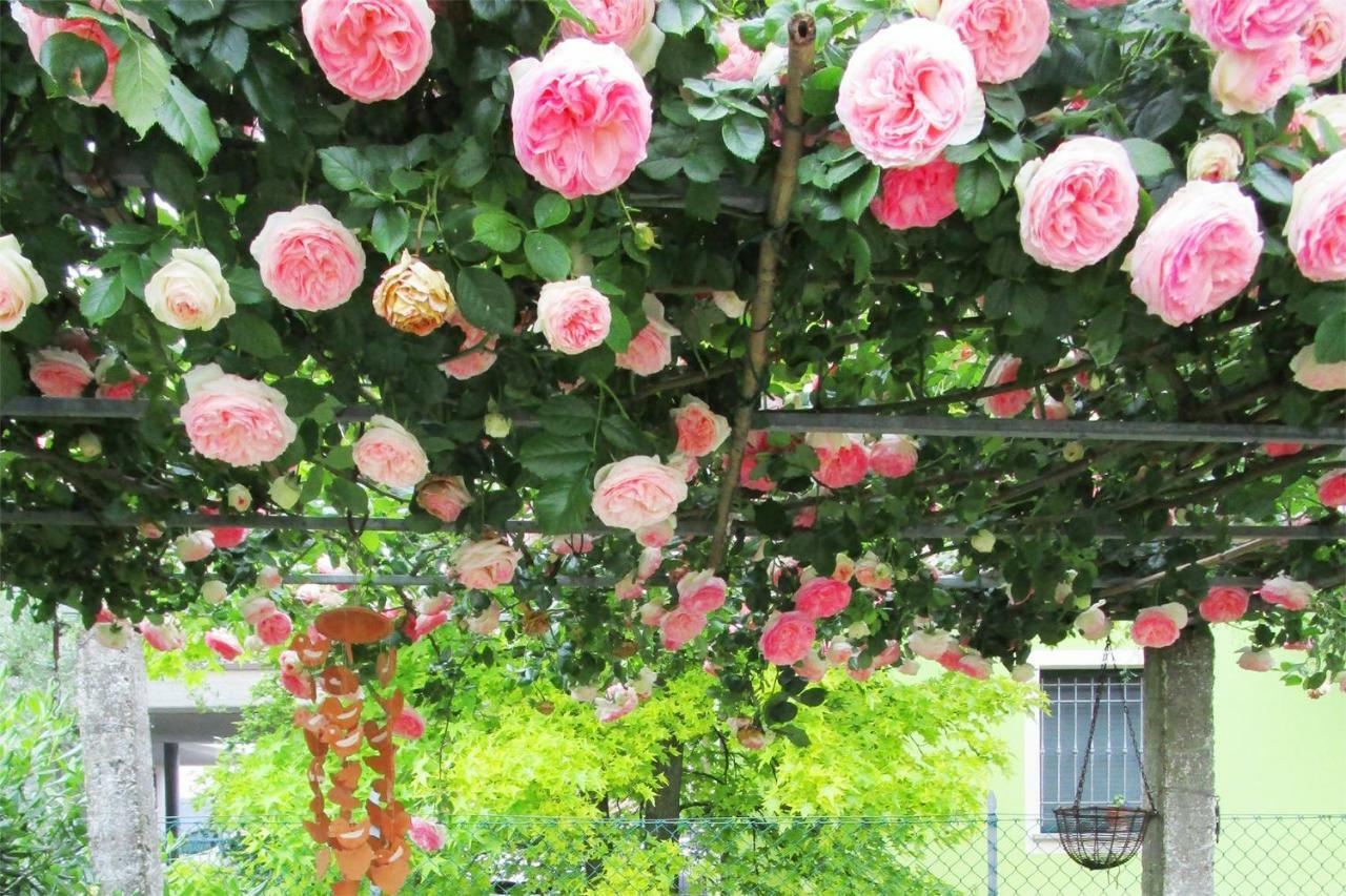 تشيزينا Bed And Breakfast Lucia المظهر الخارجي الصورة